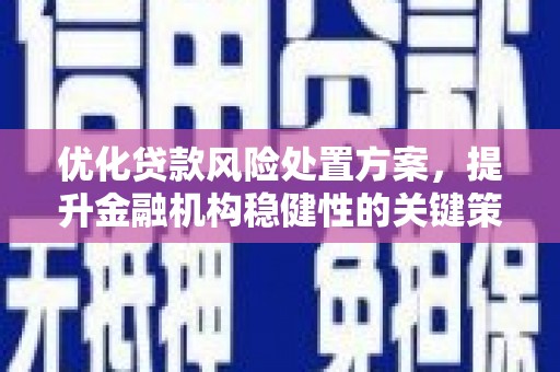 乐清优化贷款风险处置方案，提升金融机构稳健性的关键策略