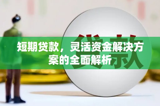 柳南短期贷款，灵活资金解决方案的全面解析