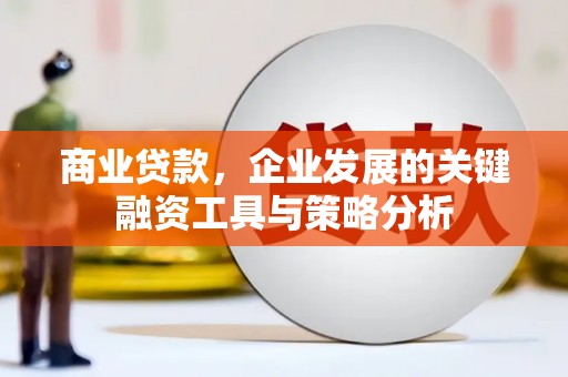 达孜商业贷款，企业发展的关键融资工具与策略分析