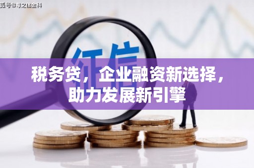 万荣税务贷，企业融资新选择，助力发展新引擎