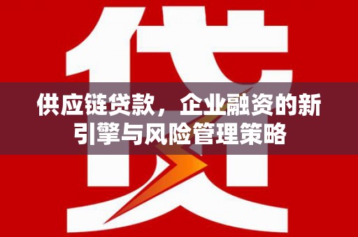 龙城供应链贷款，企业融资的新引擎与风险管理策略