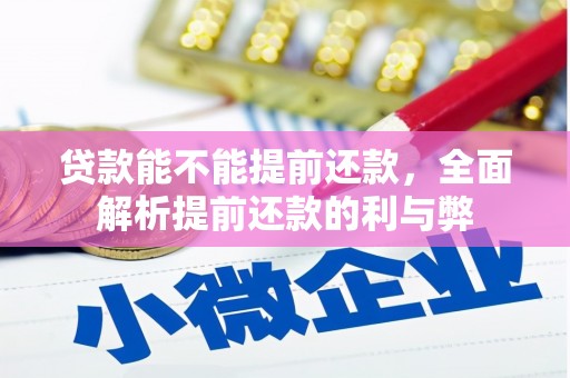 水上贷款能不能提前还款，全面解析提前还款的利与弊