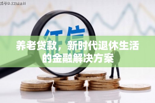 惠济养老贷款，新时代退休生活的金融解决方案