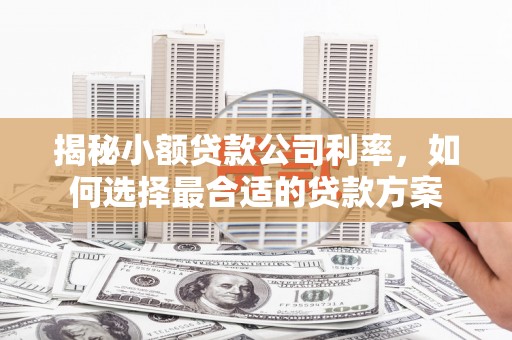 花坛揭秘小额贷款公司利率，如何选择最合适的贷款方案