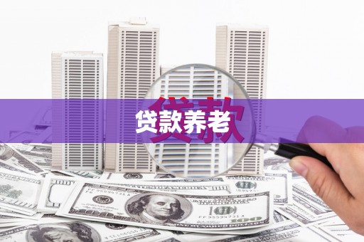 辽源贷款养老