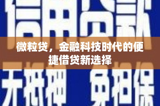 前镇微粒贷，金融科技时代的便捷借贷新选择
