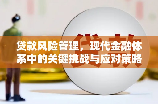 雁峰贷款风险管理，现代金融体系中的关键挑战与应对策略
