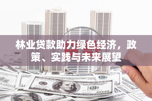 崇信林业贷款助力绿色经济，政策、实践与未来展望