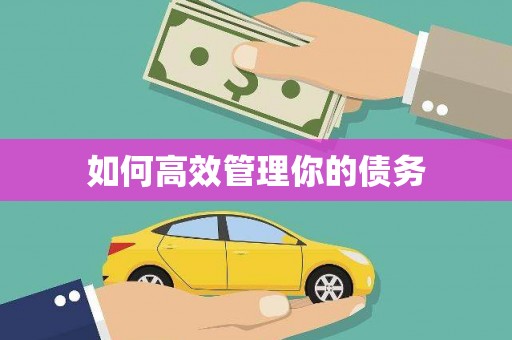 墨江如何高效管理你的债务