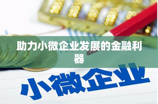 沙依巴克助力小微企业发展的金融利器