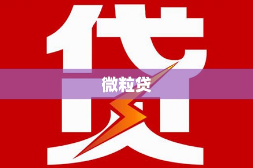 孟村微粒贷