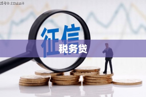 蓝山税务贷