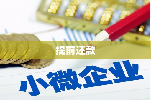 资溪提前还款