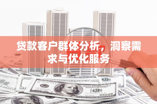 天元贷款客户群体分析，洞察需求与优化服务